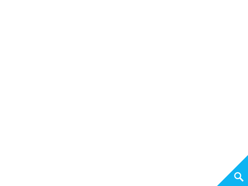 bnr_half_company